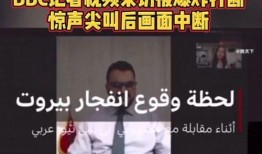 黎巴嫩爆料视频,背后真相令人震惊